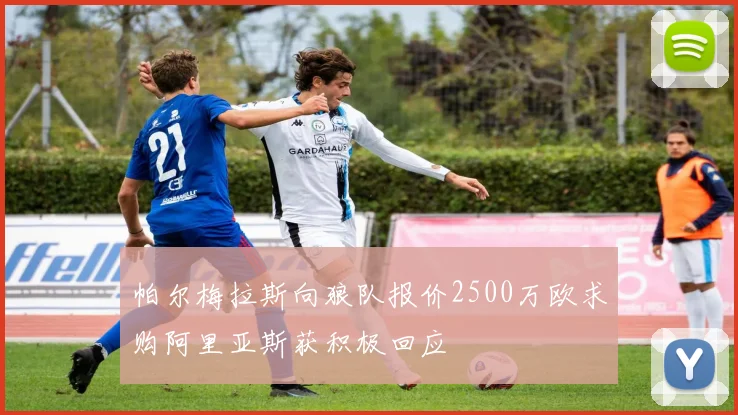帕尔梅拉斯向狼队报价2500万欧求购阿里亚斯获积极回应