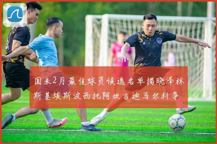国米2月最佳球员候选名单揭晓泽林斯基埃斯波西托阿坎吉迪马尔科争夺荣誉