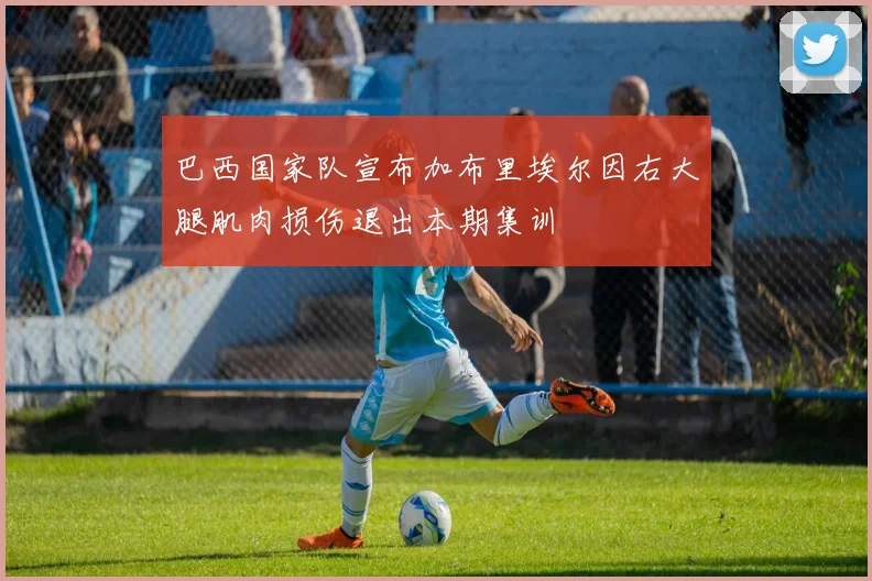 巴西国家队宣布加布里埃尔因右大腿肌肉损伤退出本期集训