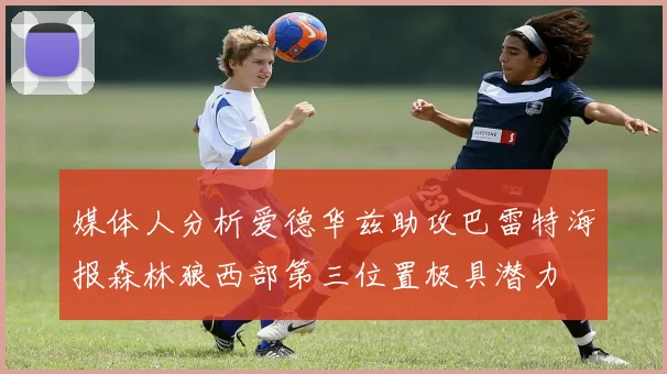 媒体人分析爱德华兹助攻巴雷特海报森林狼西部第三位置极具潜力