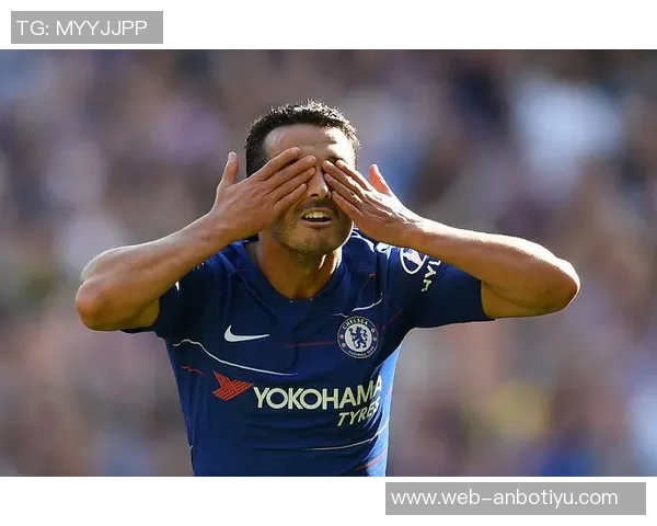 谢林汉姆评论切尔西放弃杰克逊的决定对佩德罗适应影响深远